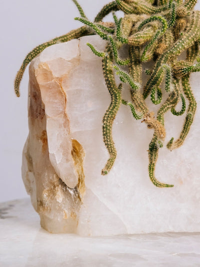 Semi Precious Planter - White
