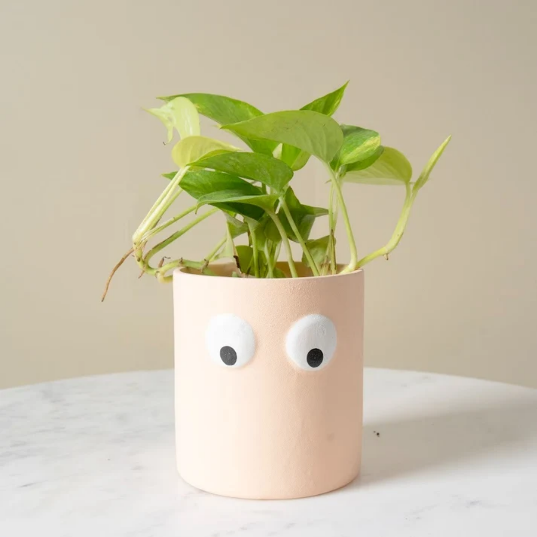 Peach Muse Face Planter Set of 2 - https://artecasa.in/