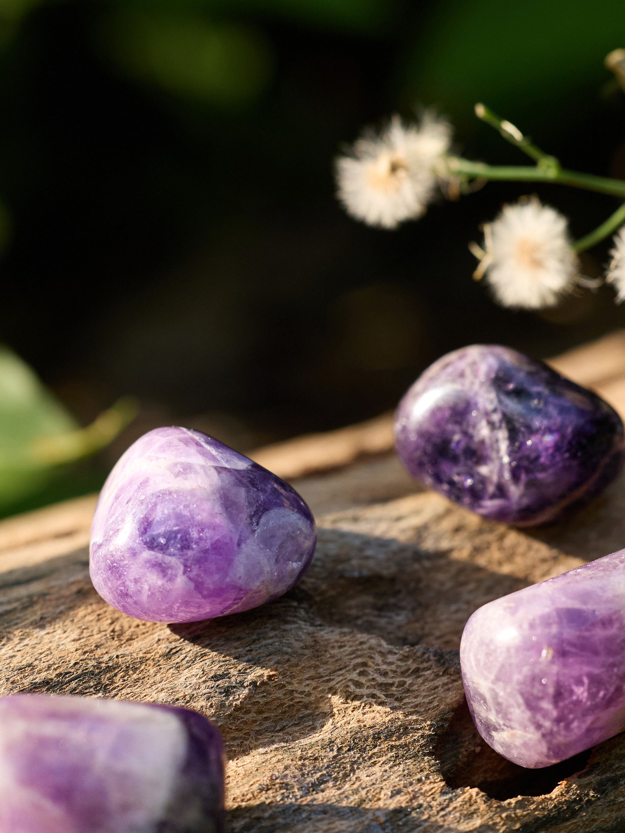 Semi-precious Gemstone - Amethyst Pebbles
