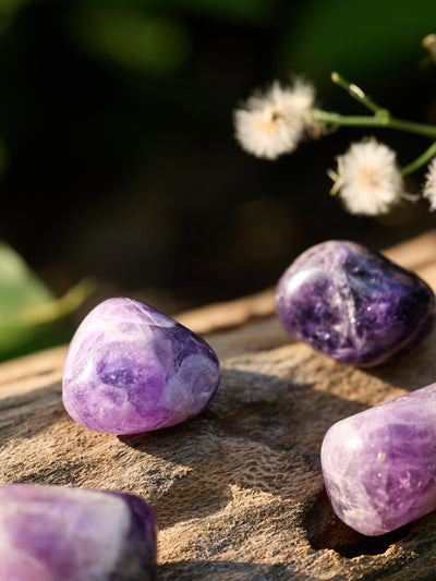 Semi-precious Gemstone - Amethyst Pebbles