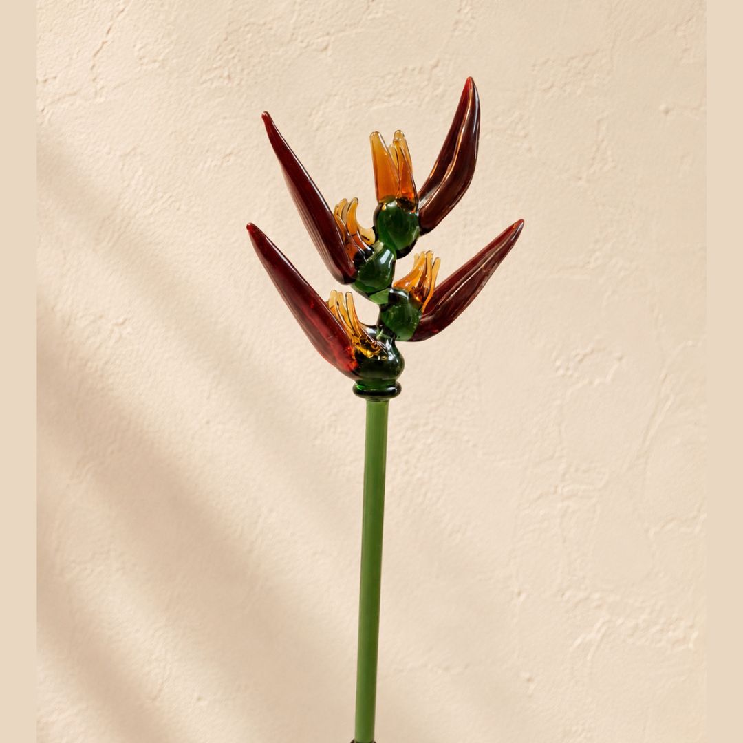 Heliconia – Nectar Vessel Edition | Bouquet Gift set of Stem + Vase