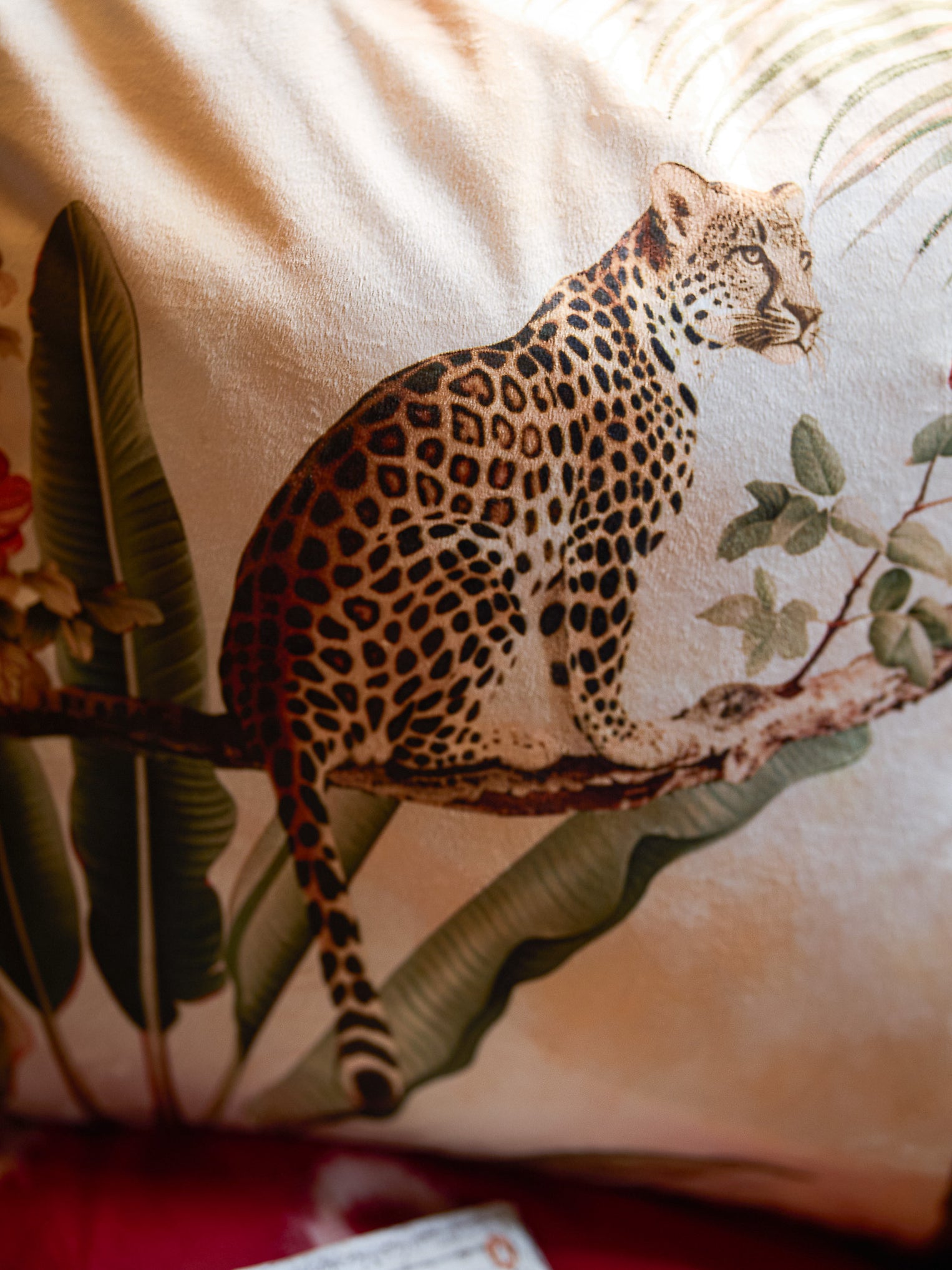 Bagheera - Multicolor Velvet Cushion