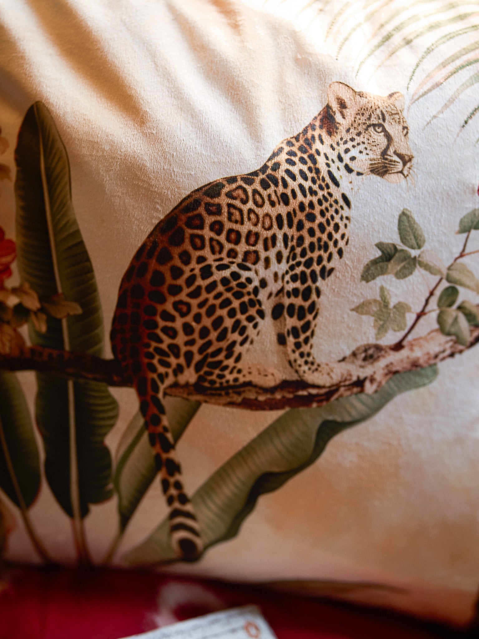 Bagheera - Multicolor Velvet Cushion