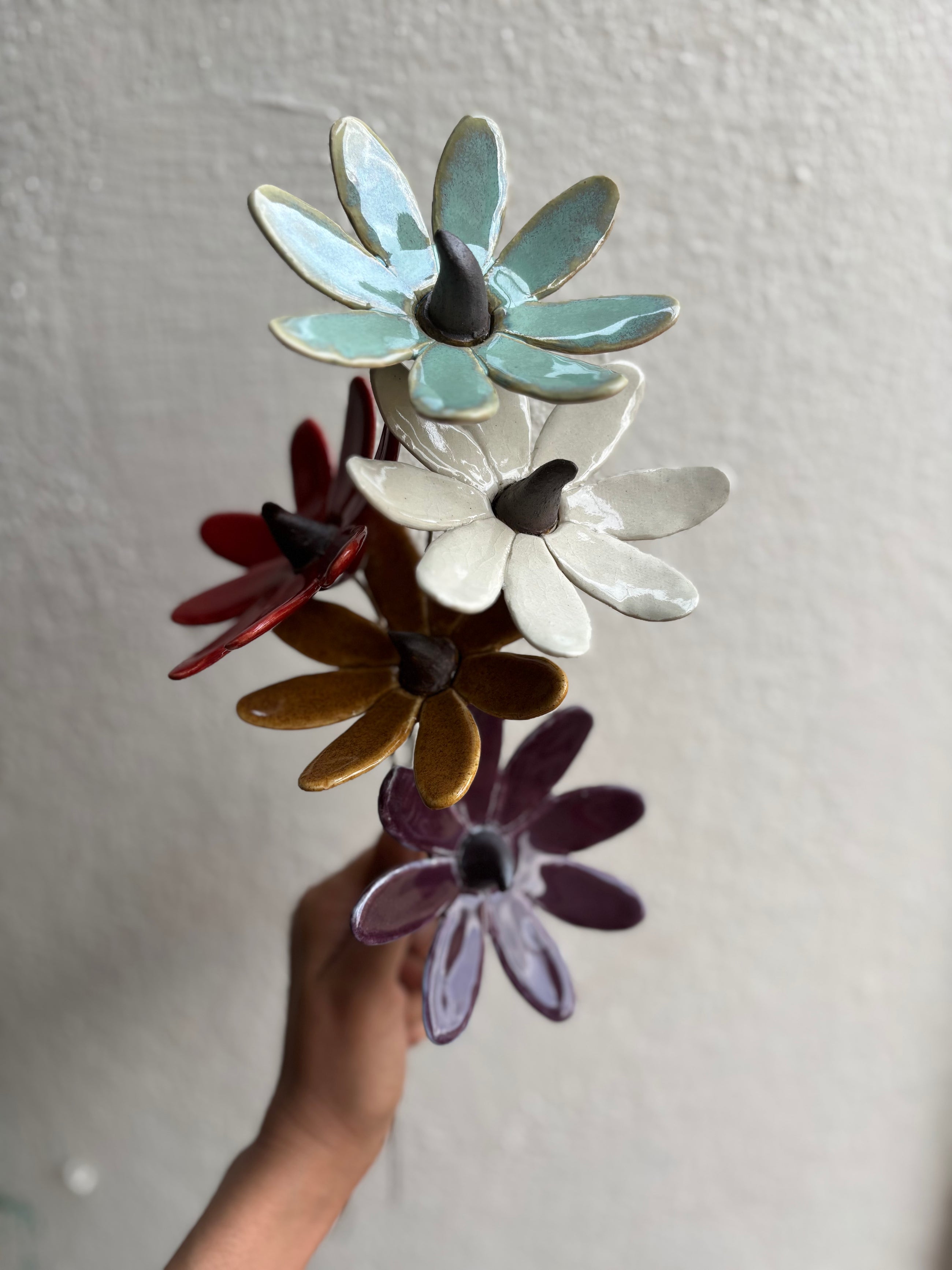 Sun Sprite - Mustard