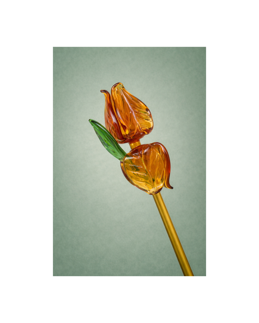 Golden Whisper Bloom