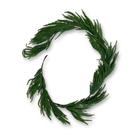 Christmas Garland ( Norfolk Pine Garland )