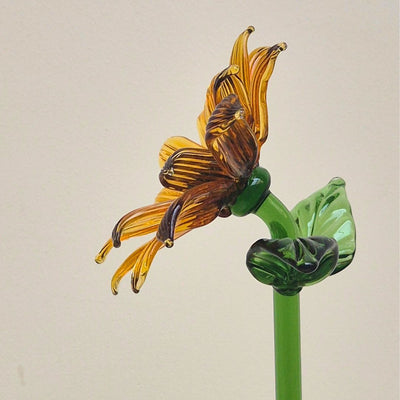 Yellow SunFlower