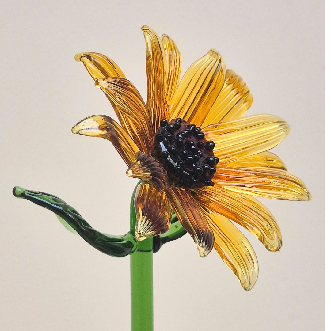 Yellow SunFlower