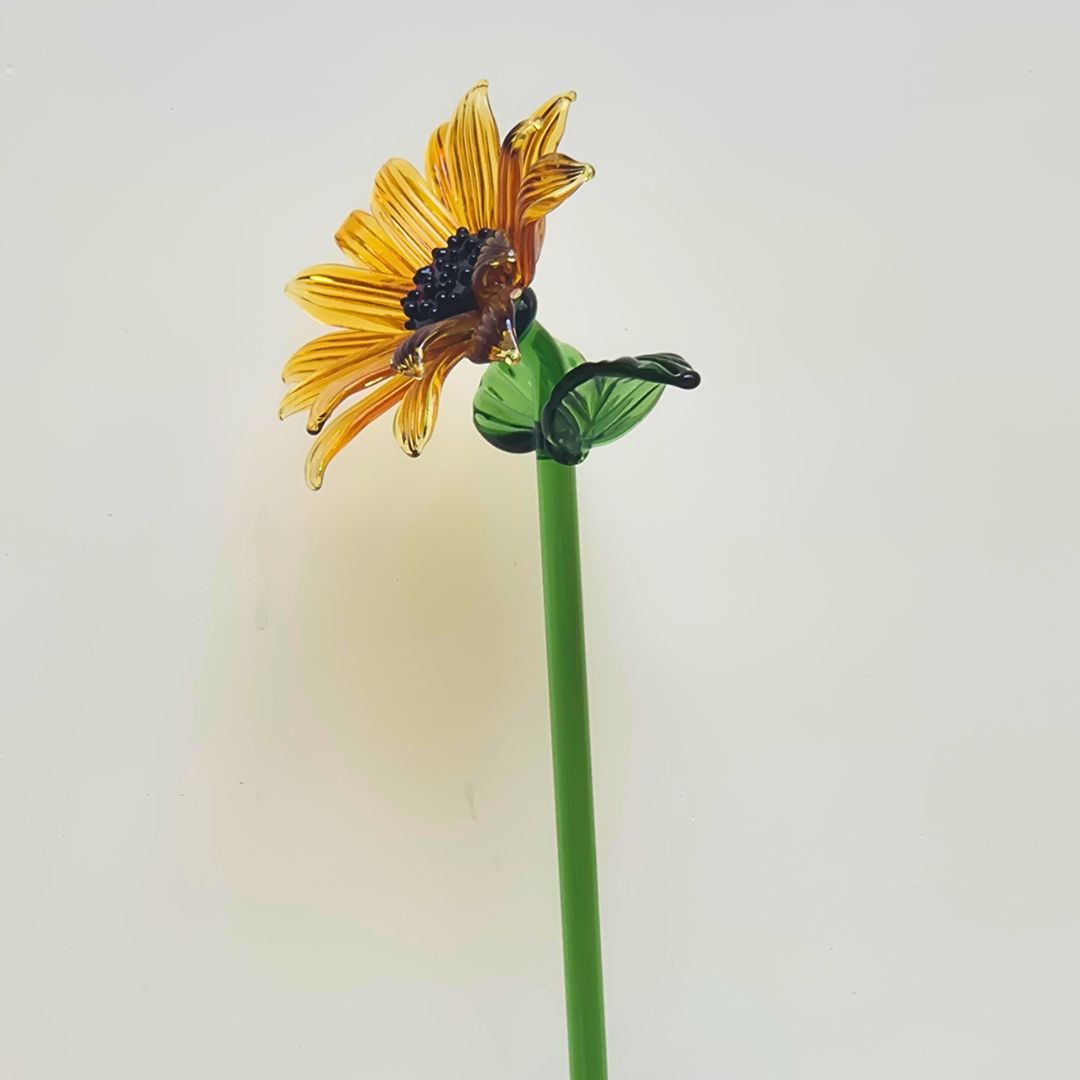 Yellow SunFlower