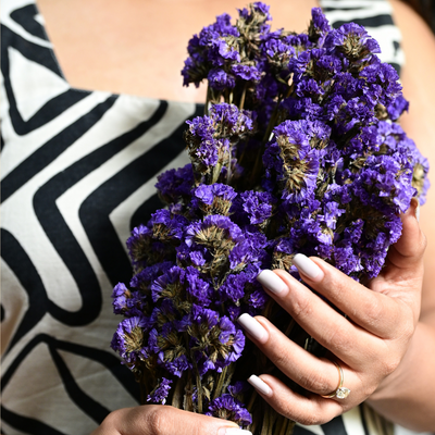 Natural Dried Purple Statice Flower