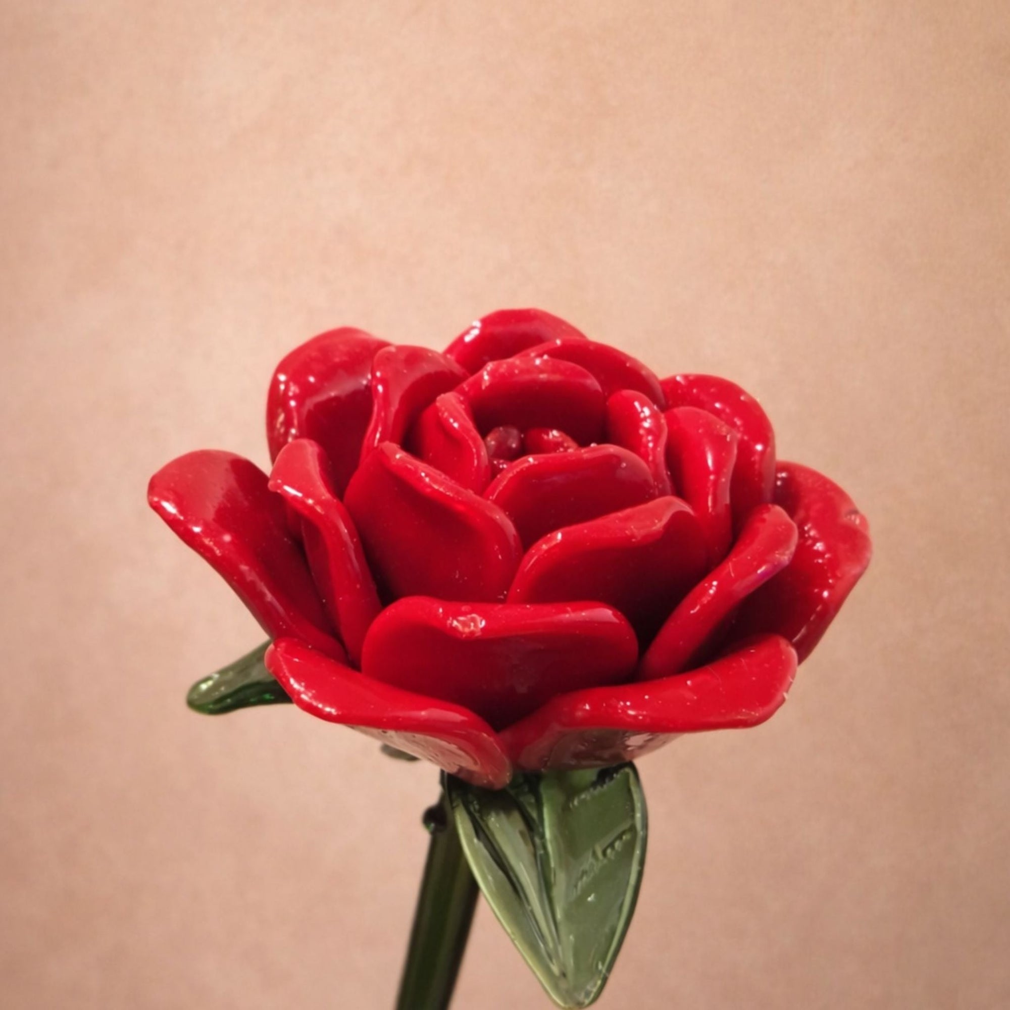 Rose Red | Eternal Bloom - Luxury Edition