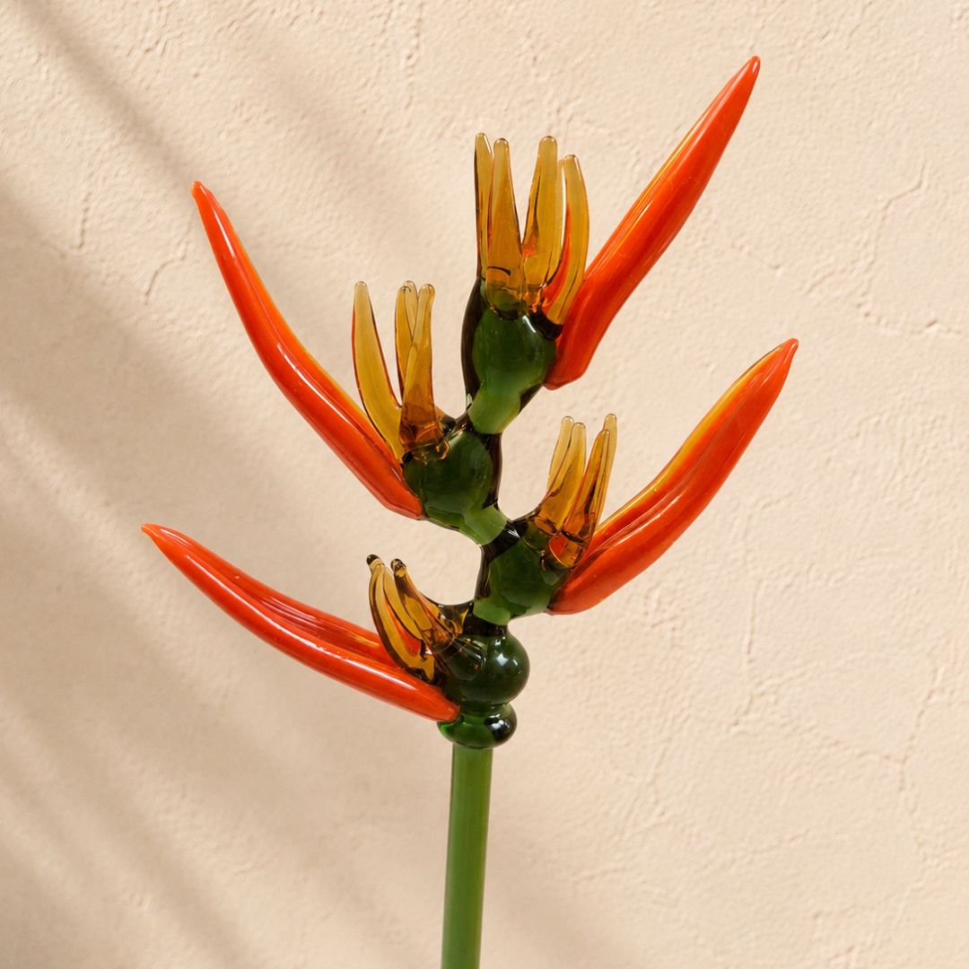 Heliconia – Nectar Vessel Edition | Bouquet Gift set of Stem + Vase