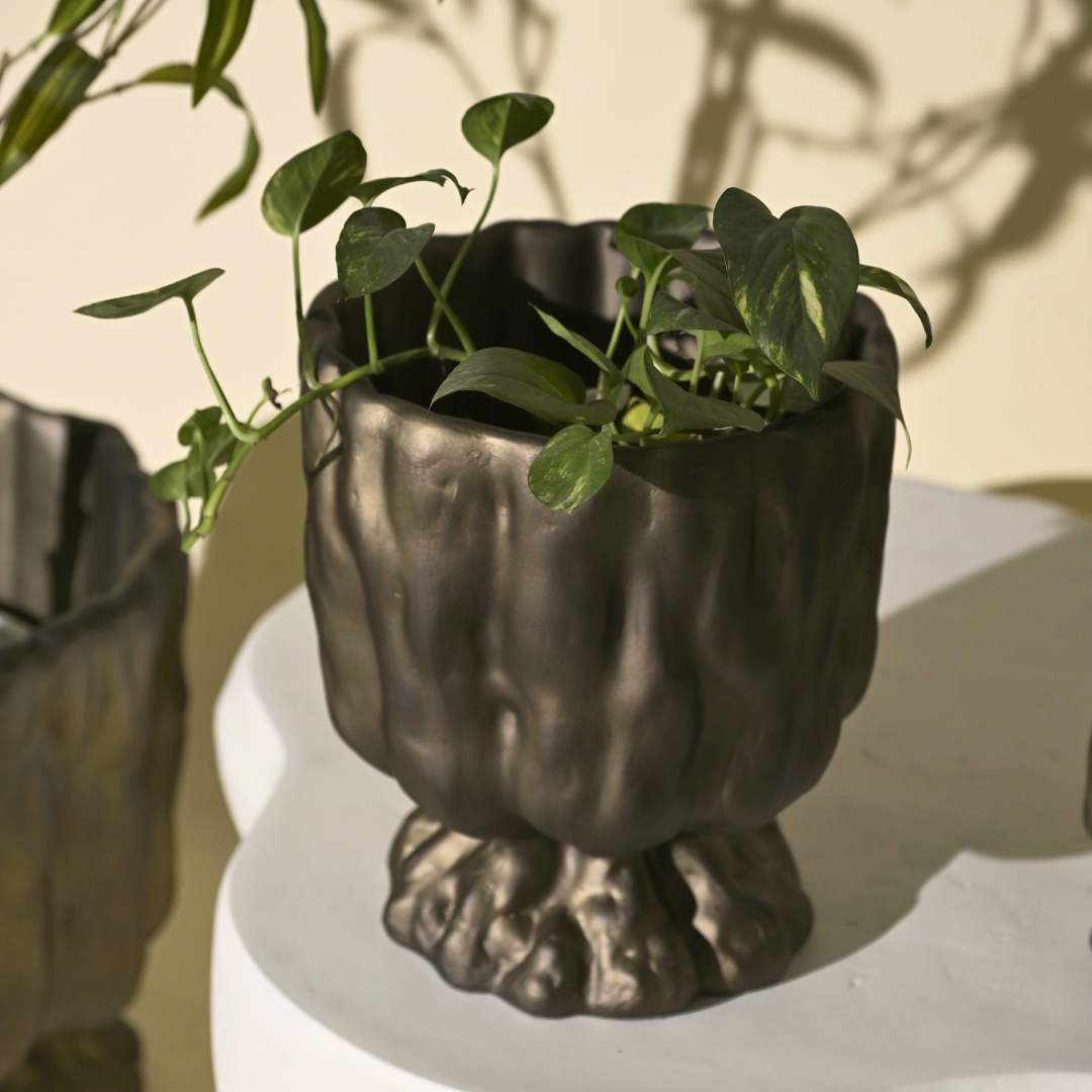 Bronze Gold Raya Organic Planter