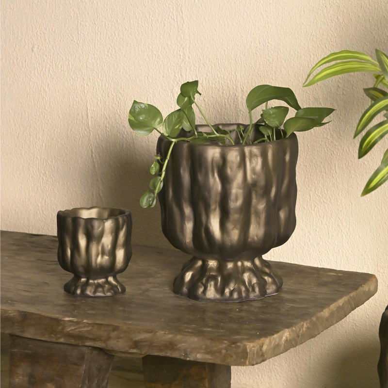 Bronze Gold Raya Organic Planter