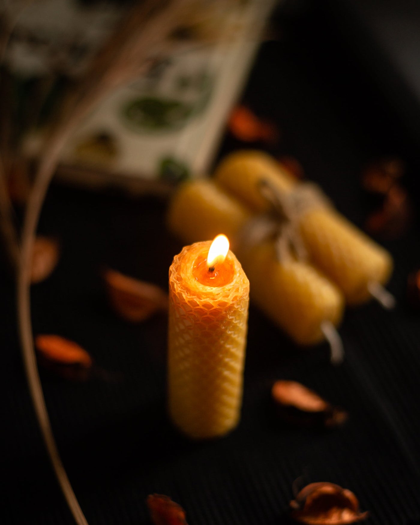 Hand-Rolled Beeswax Candles