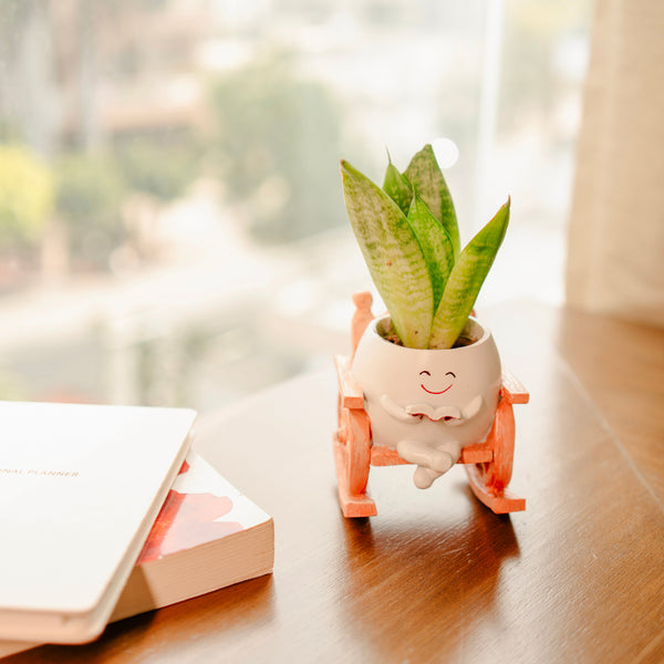Seat of Stories planter