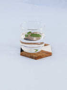 Wood & Resin Coaster Set of 4 - Pamban