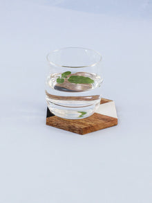Wood & Resin Coaster Set of 4 - Pamban
