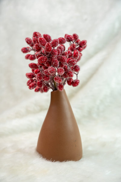 Frosted Red Berry Stem