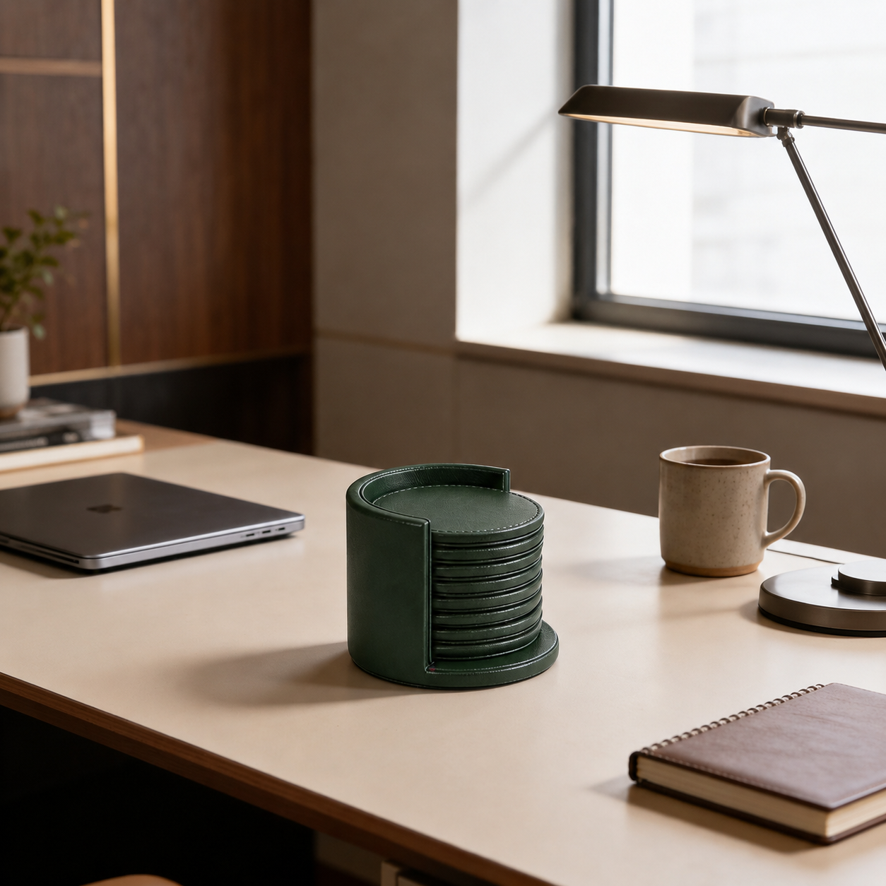 Leather Coasters with Holder (Set of 4)