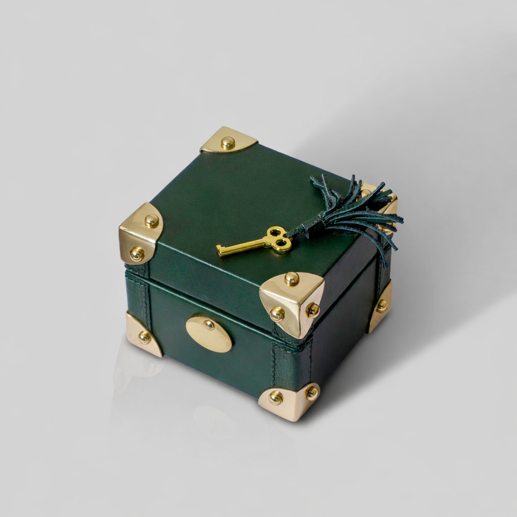 Compact leather single watch box India personal gift The Mage Home