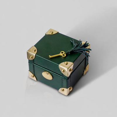 Compact leather single watch box India personal gift The Mage Home