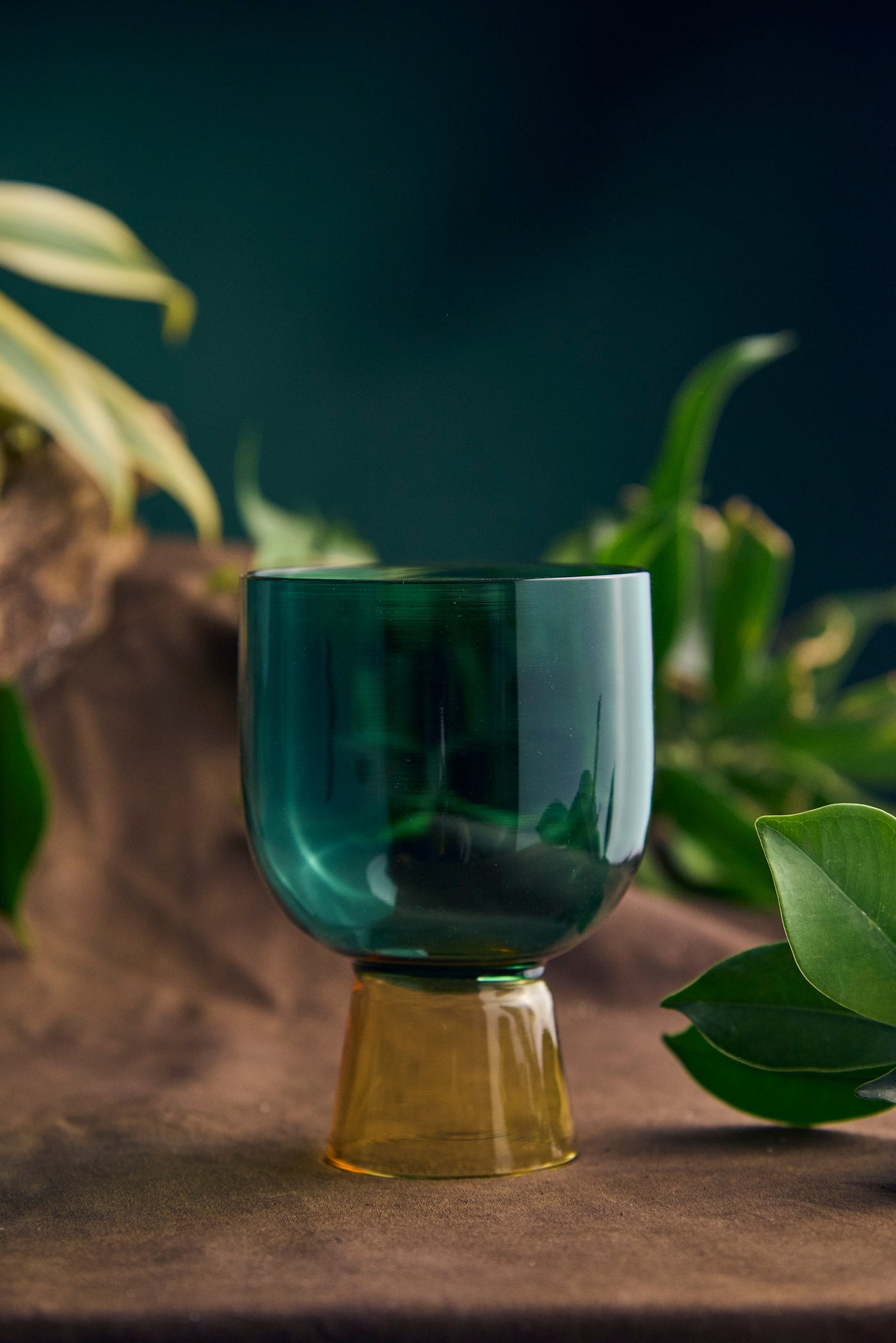 Coloured Coupe Glass | Set of 1, 2, 4, 6