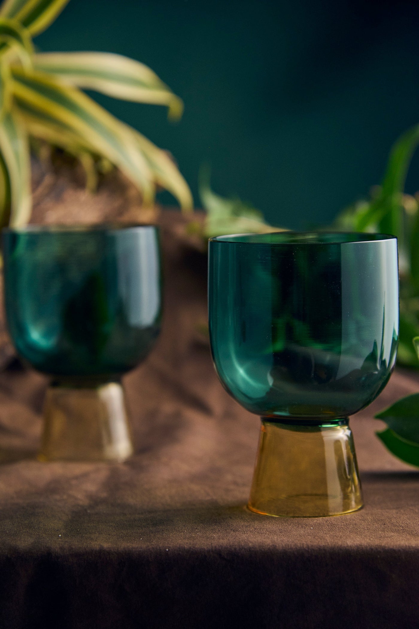 Coloured Coupe Glass | Set of 1, 2, 4, 6