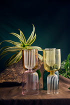 Coloured Modesty Magic Designer Glass | 325 ml