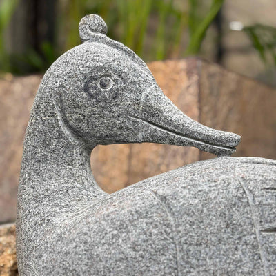 Granite Duck