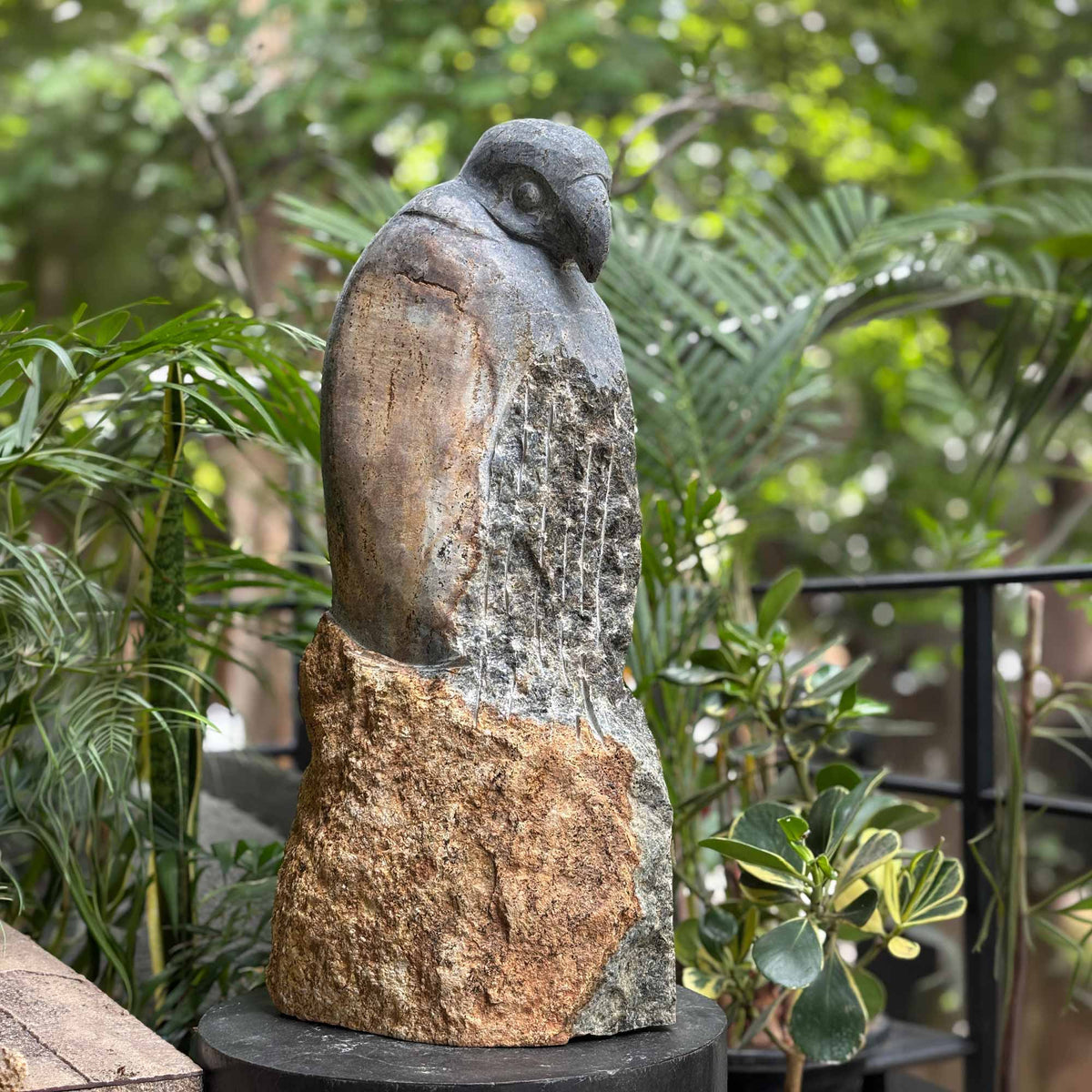 Eagle