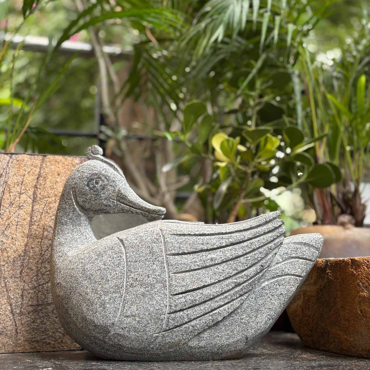 Granite Duck