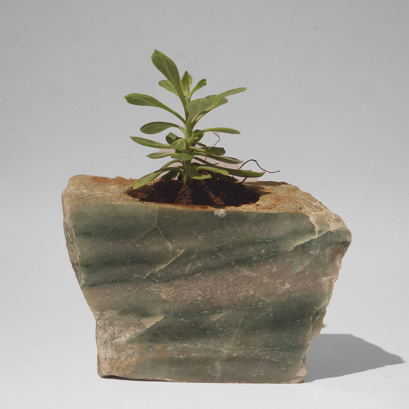 Semi Precious Planter - Green Quartz