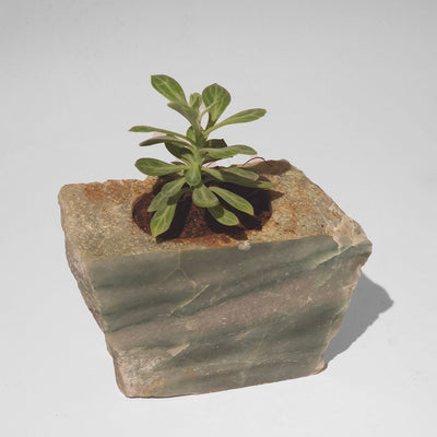 Semi Precious Planter - Green Quartz