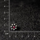 Rangphul Studs