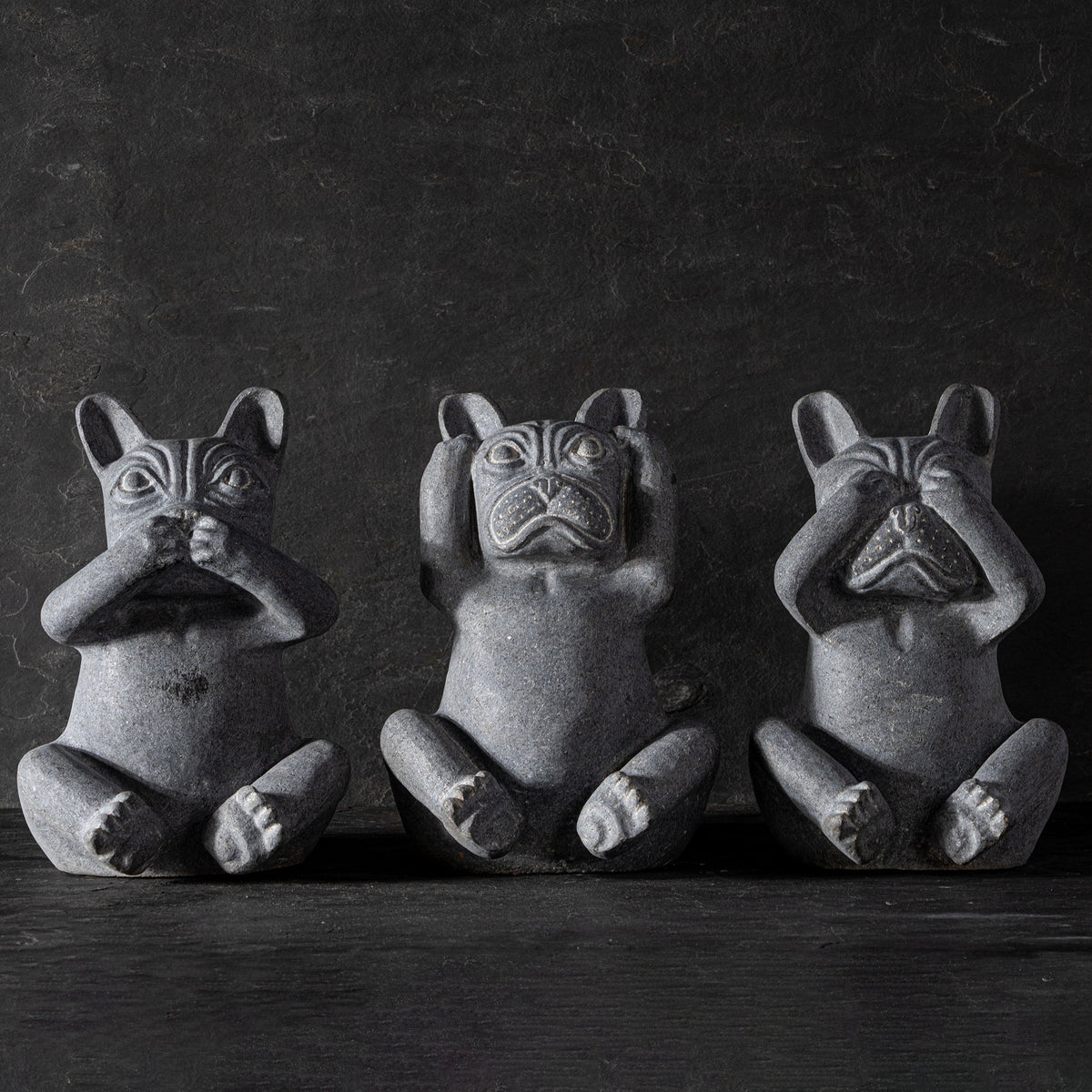Three Wise Dogs