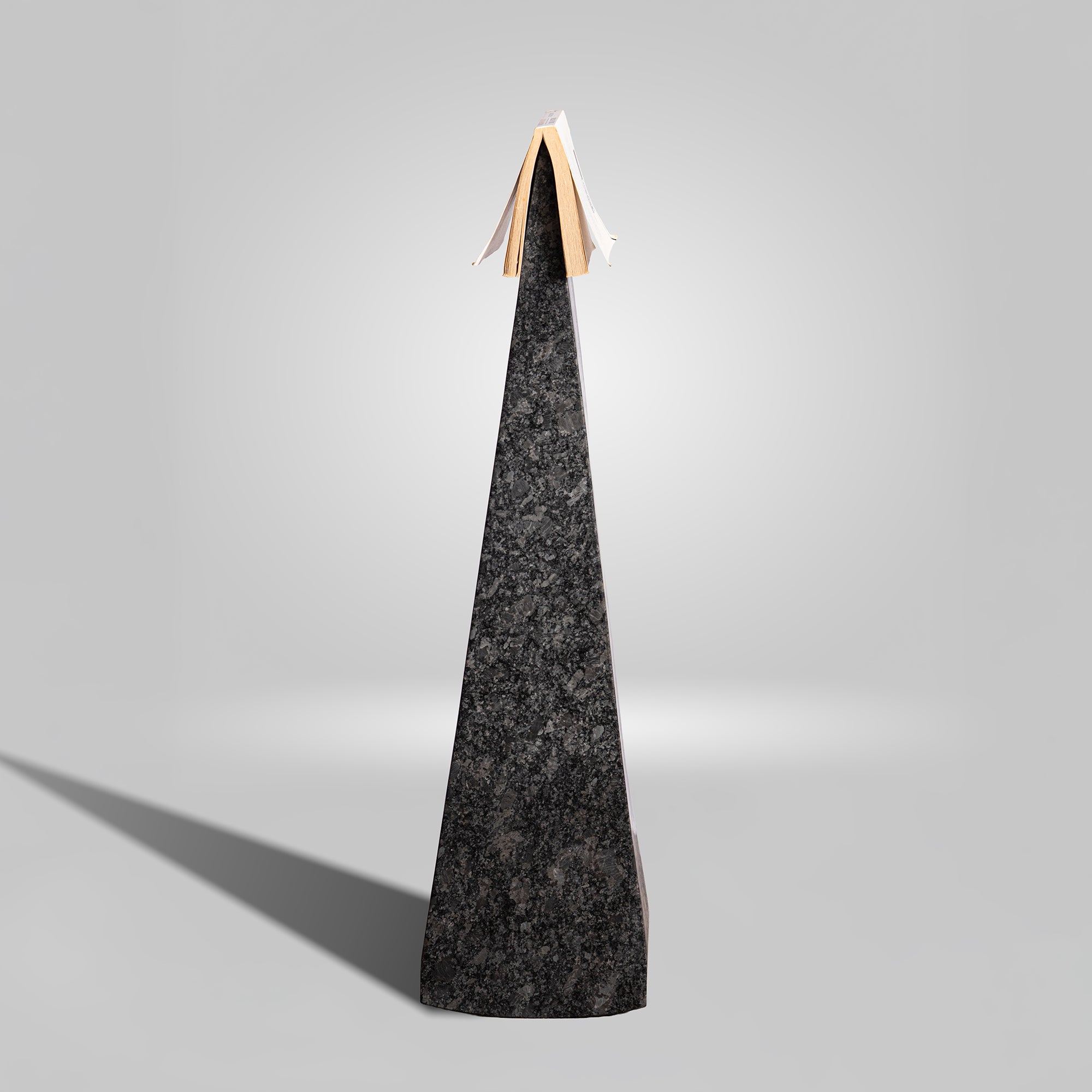 Balancing Book Rest
