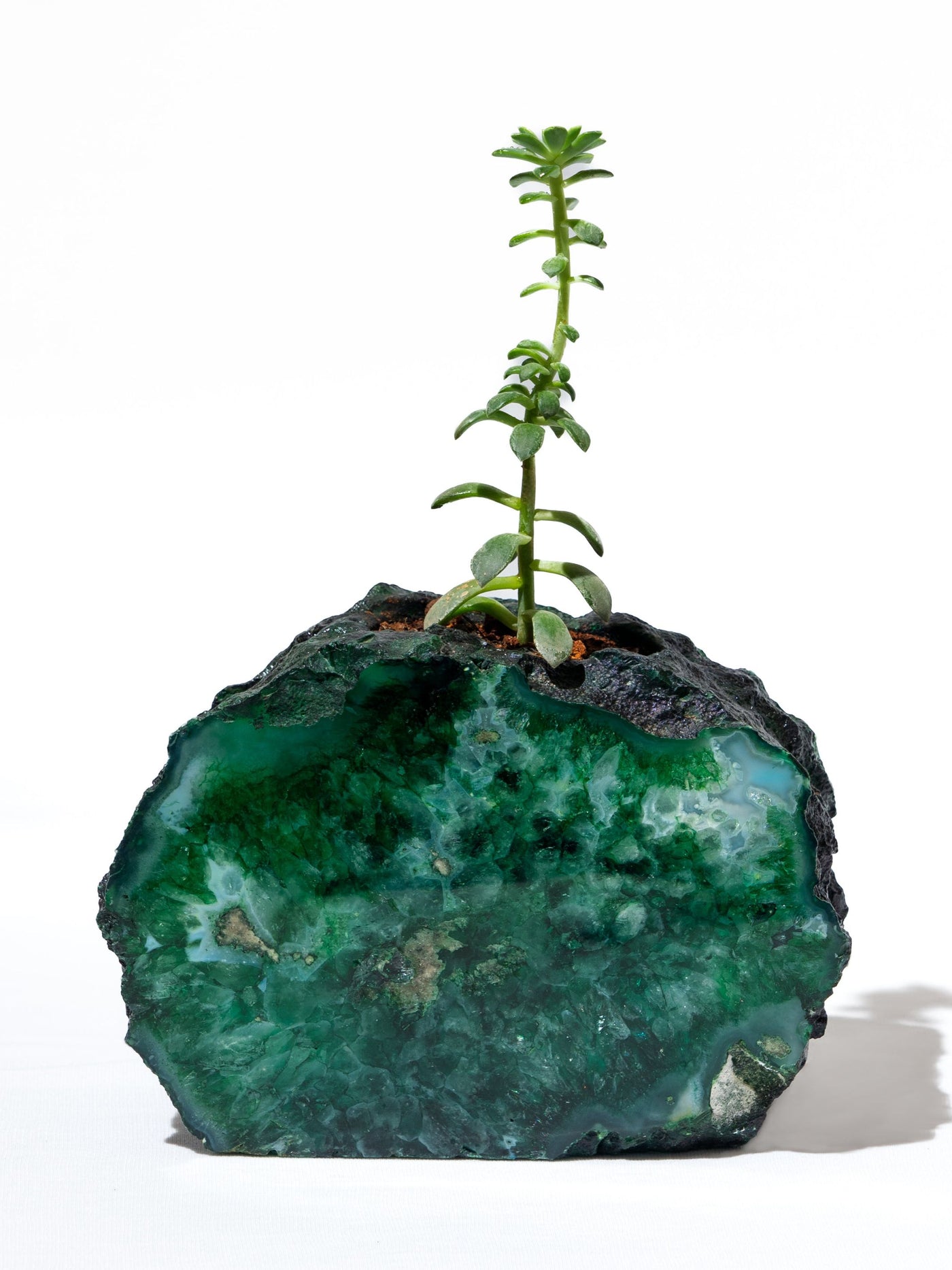 Semi Precious Planter- Green Gava