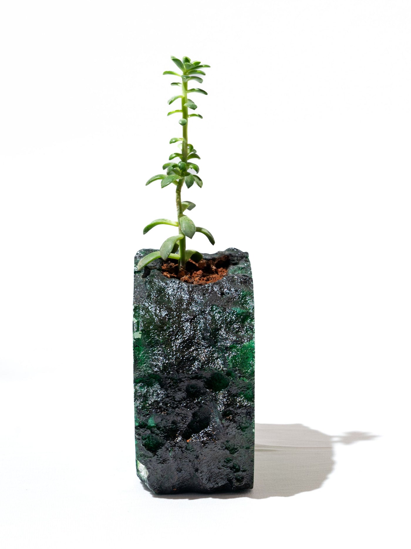 Semi Precious Planter- Green Gava