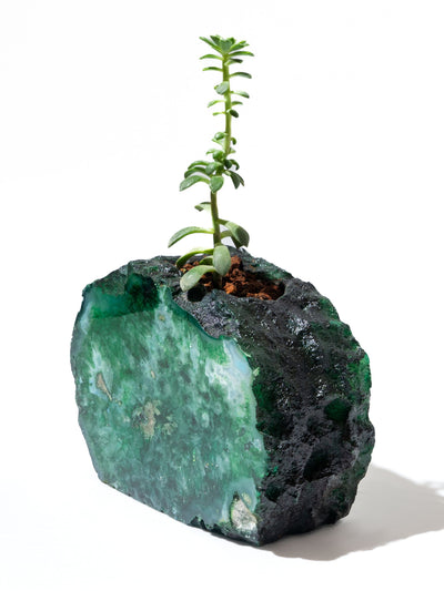 Semi Precious Planter- Green Gava