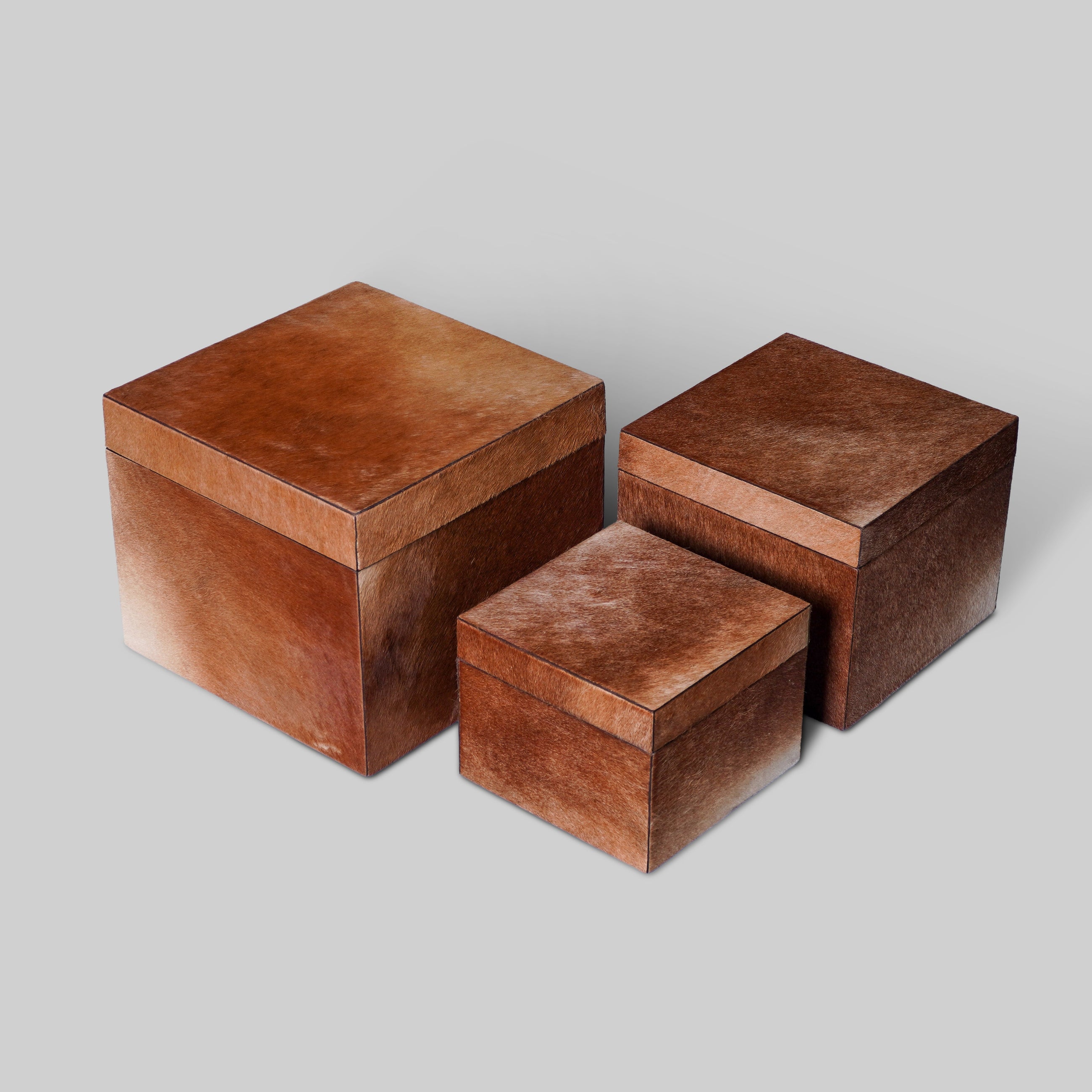 Set of 3 hairon boxes different sizes on shelf India - The Mage Home