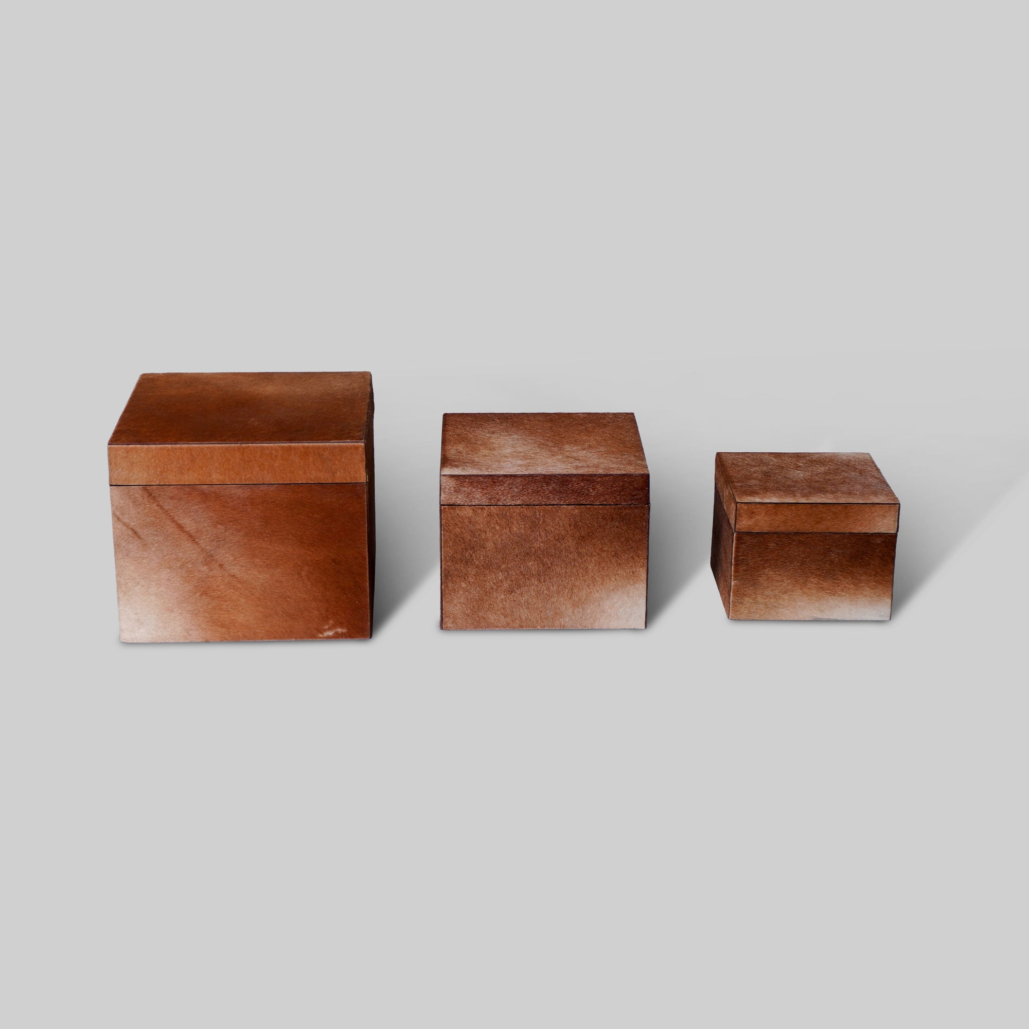 Hairon Wardrobe Boxes (Set of 3)