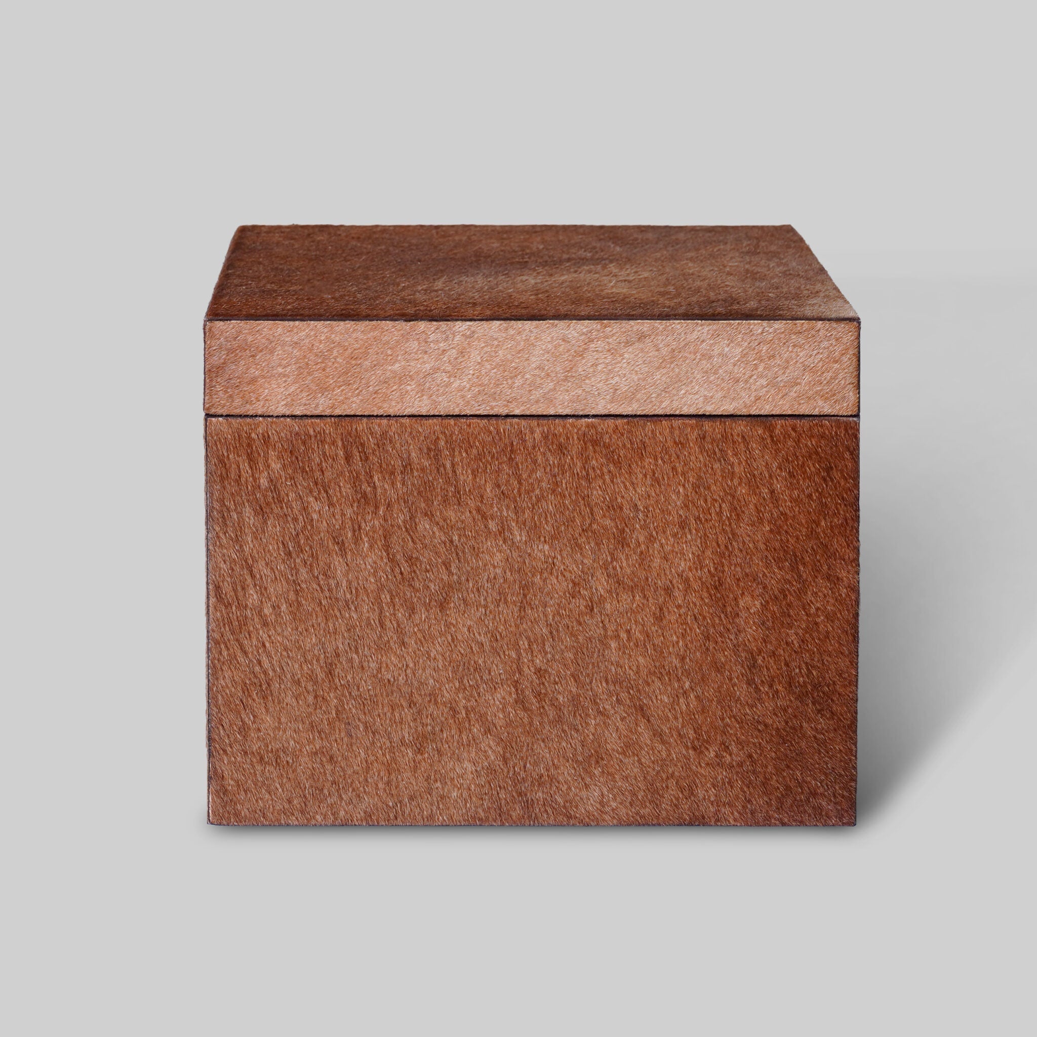 Hairon Wardrobe Box (Medium)