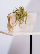 Semi Precious Planter - White