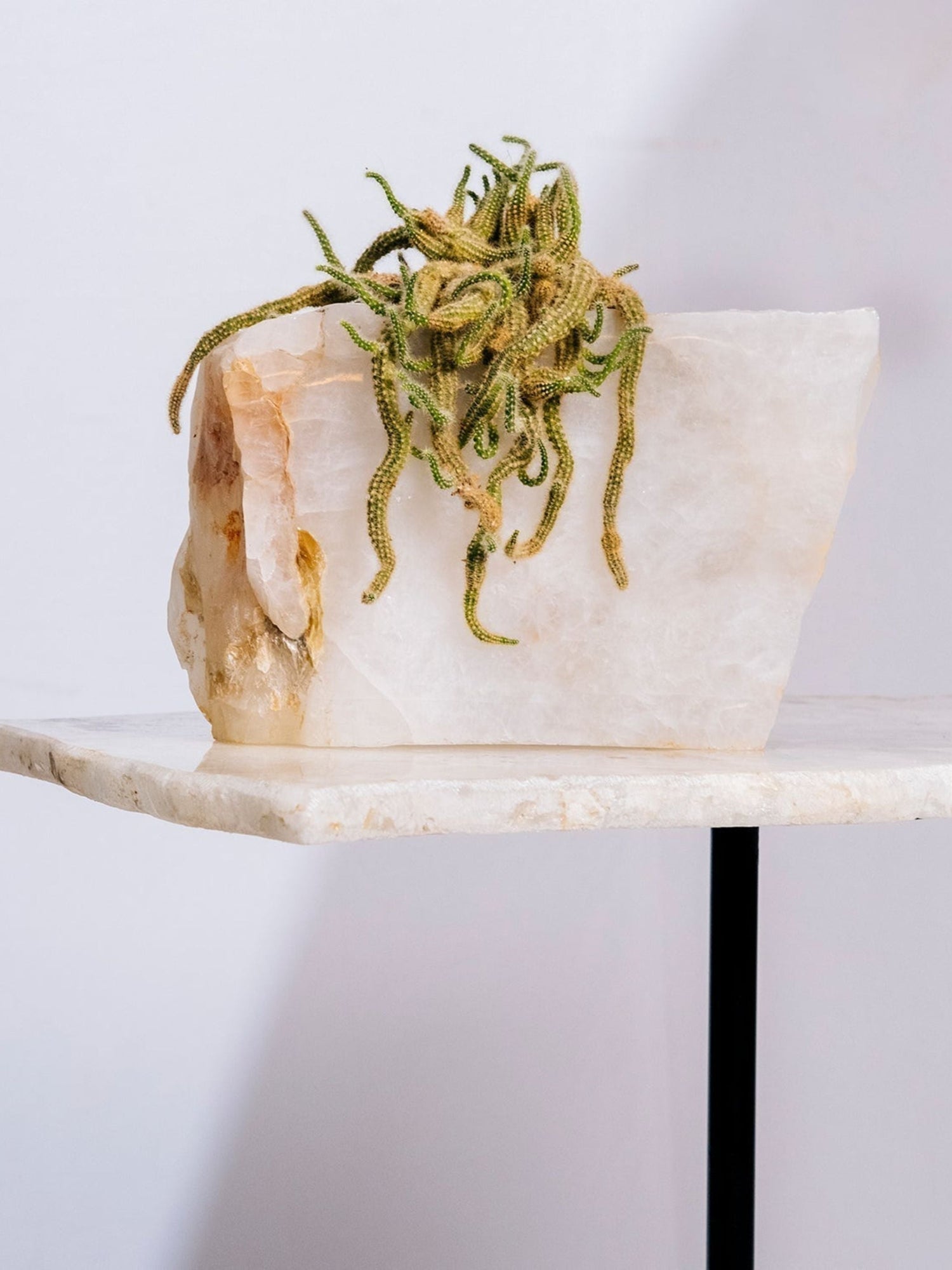 Semi Precious Planter - White