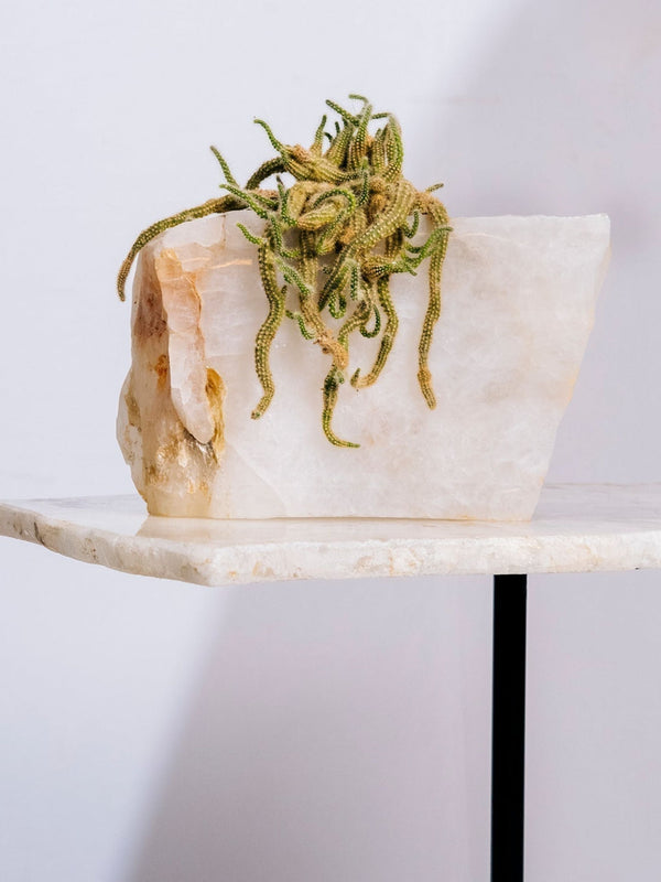 Semi Precious Planter - White