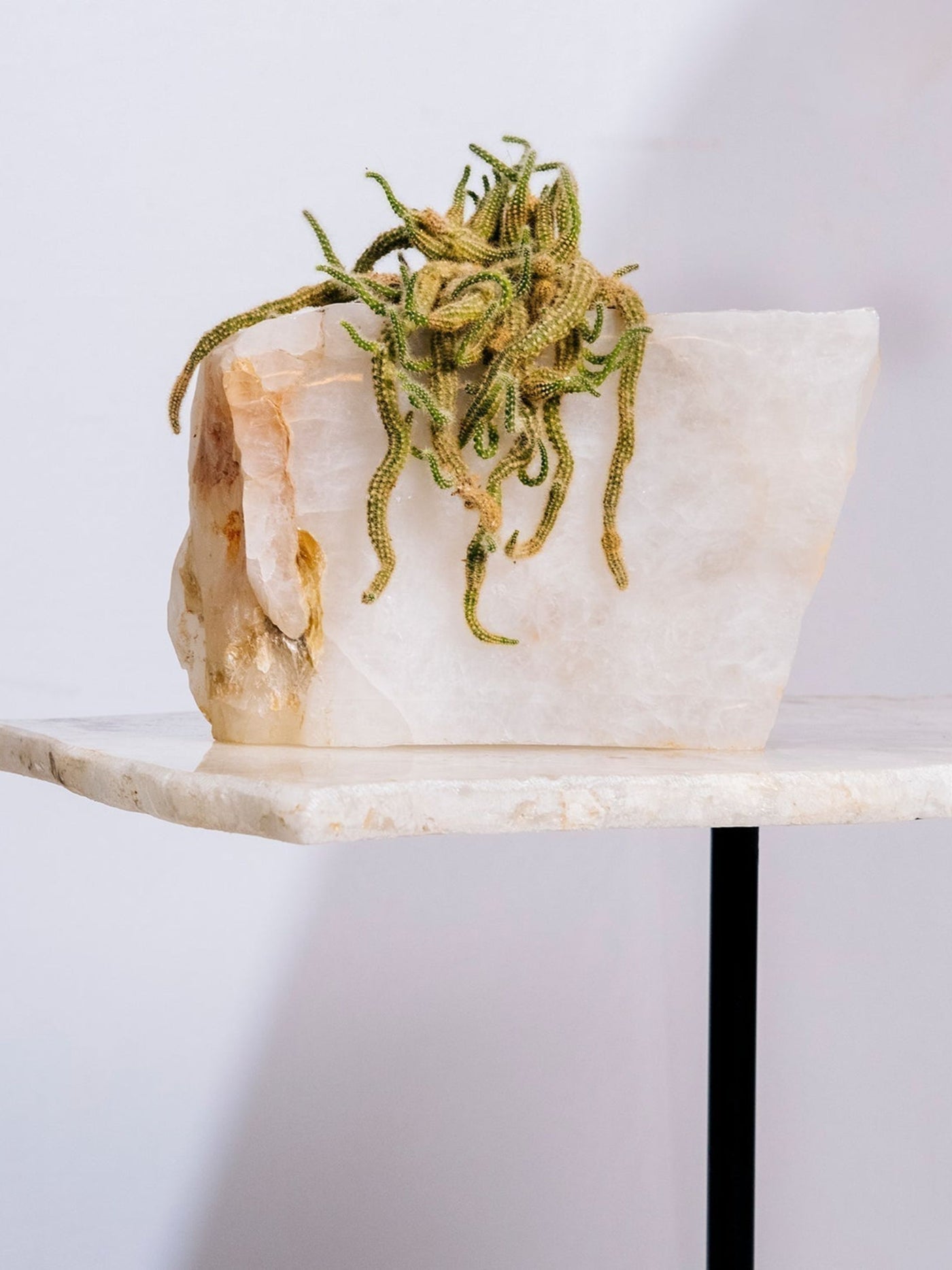 Semi Precious Planter - White