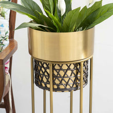 Midas Touch Gold Handwork Cane planter (set of 2)