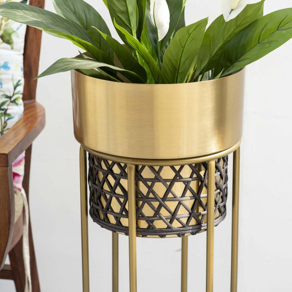 Midas Touch Gold Handwork Cane planter (set of 2)