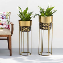 Midas Touch Gold Handwork Cane planter (set of 2)
